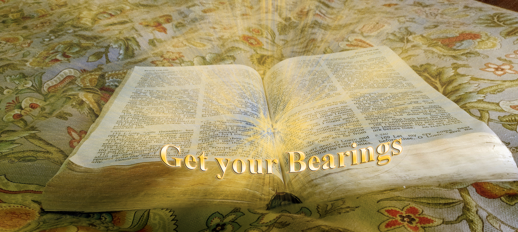 Bearing 5: The Light for your Trail is the Bible