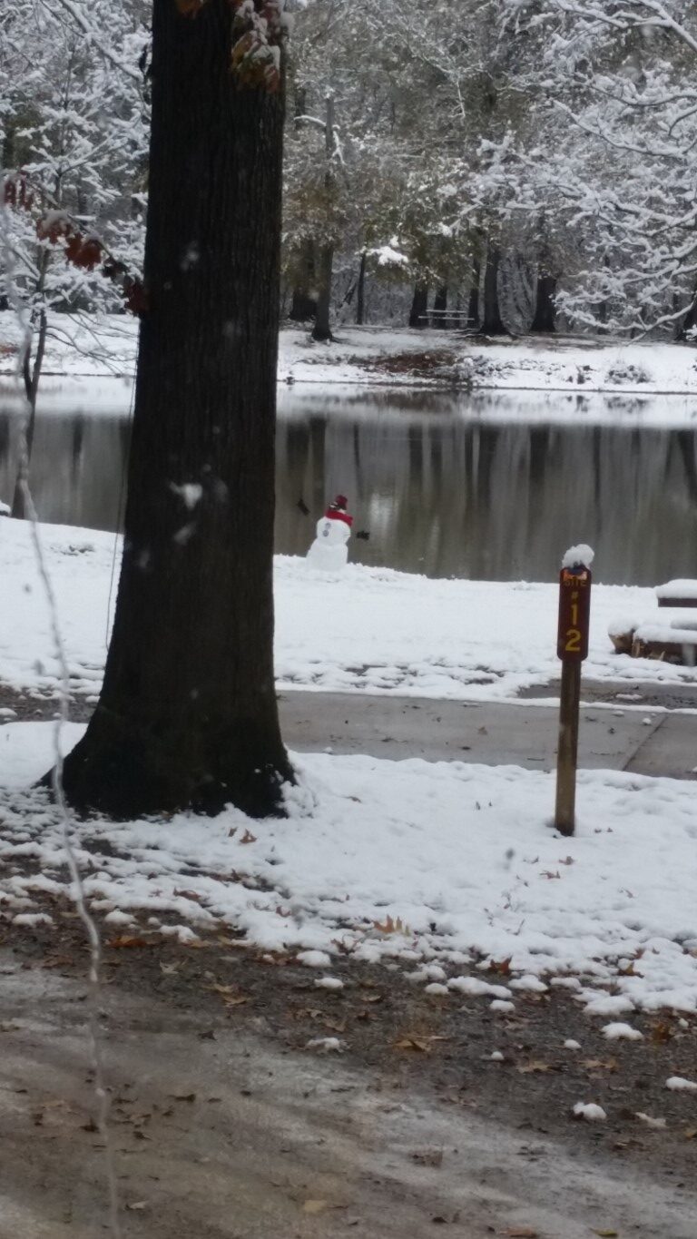 Finding Joy Christmas in a Snowy Swamp