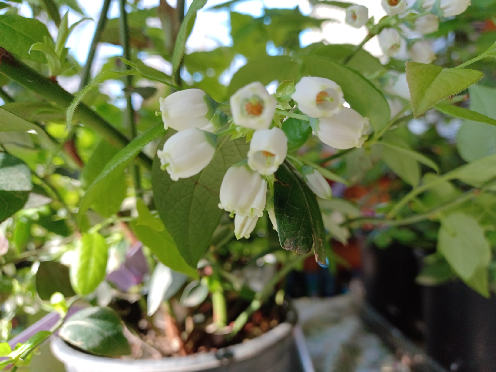 Blaming vs Taking Responsibility the Choice is Ours